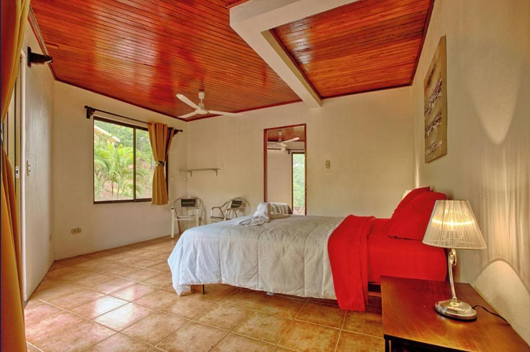 Vista Condor Lodge Puerto Viejo  Extérieur photo